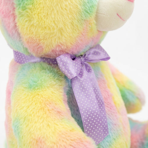 Ourson en peluche arc-en-ciel kawaii - vue principale